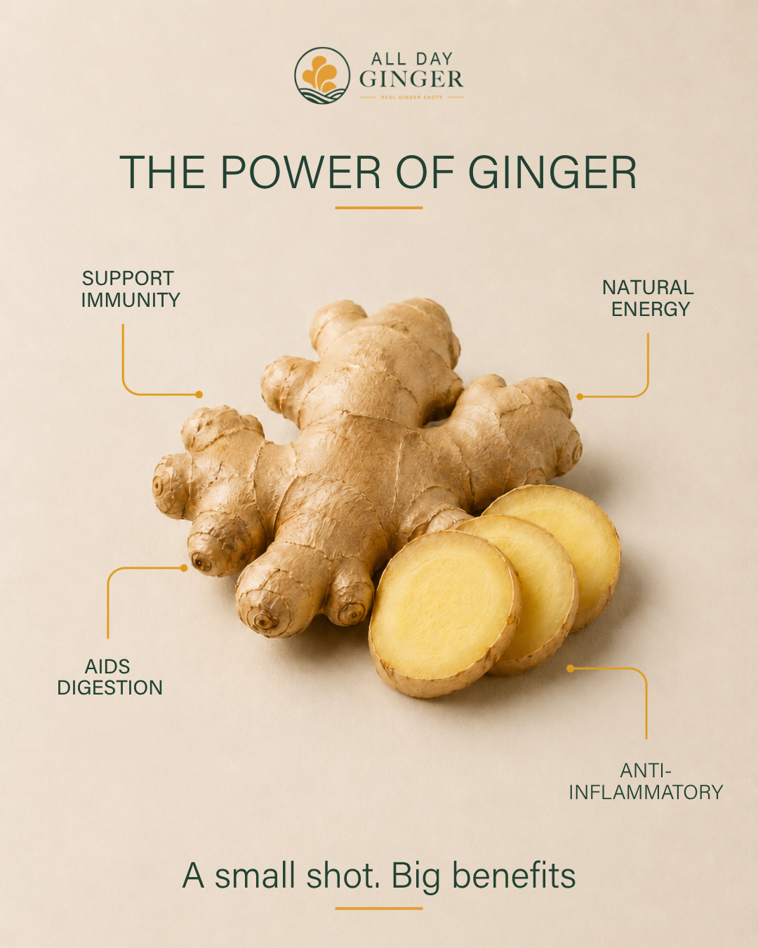 All Day Ginger — Instagram post 07
